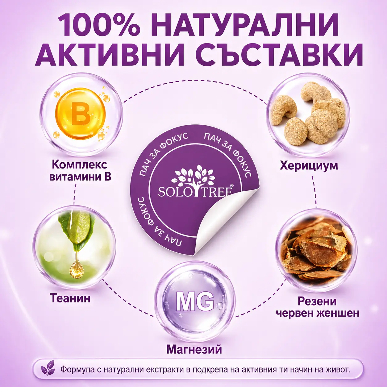Пачове за фокус и яснота с теанин, магнезий и херициум - 30 броя