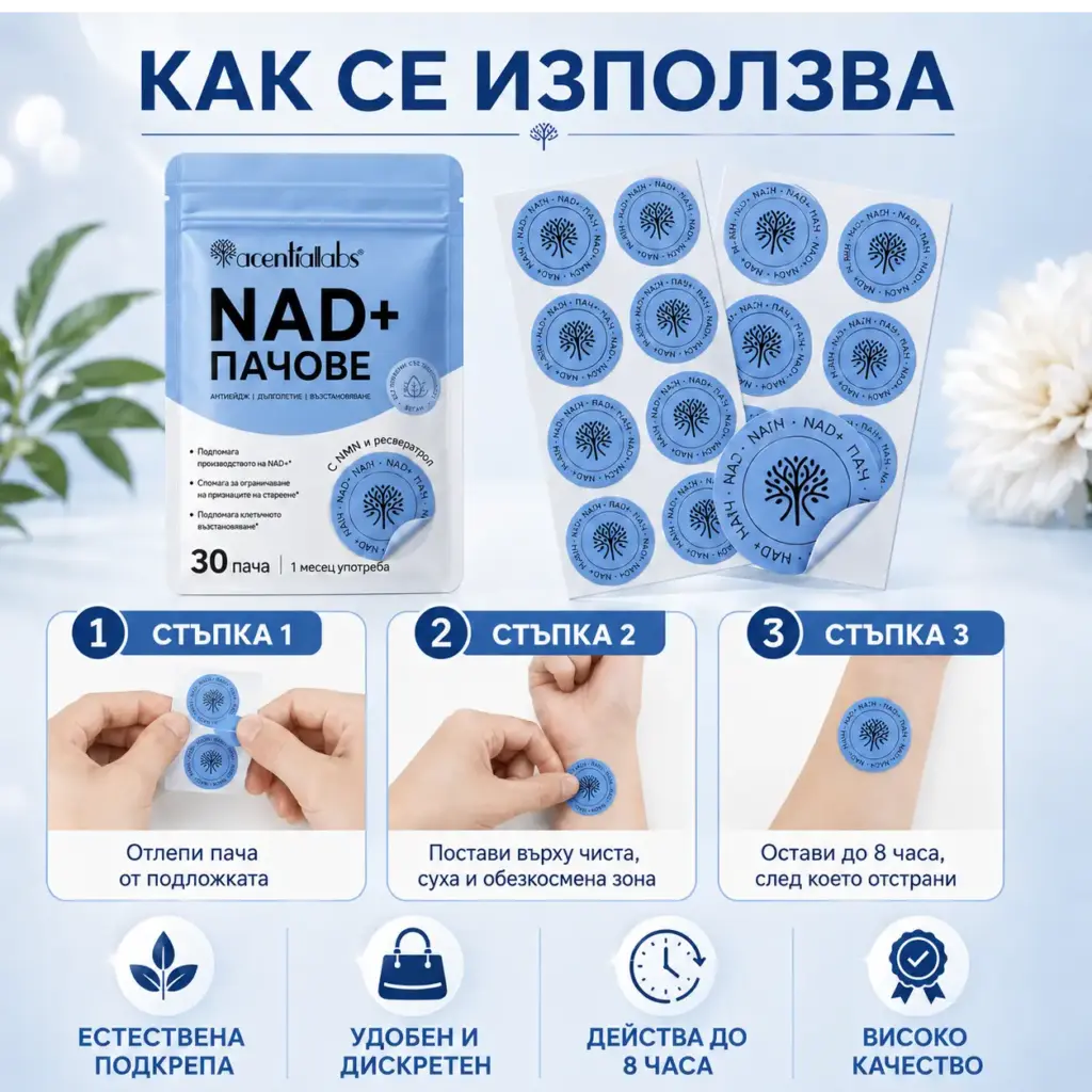 Практичен формат за всеки ден